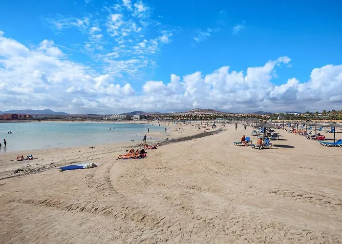 Surf Sea View Daire *