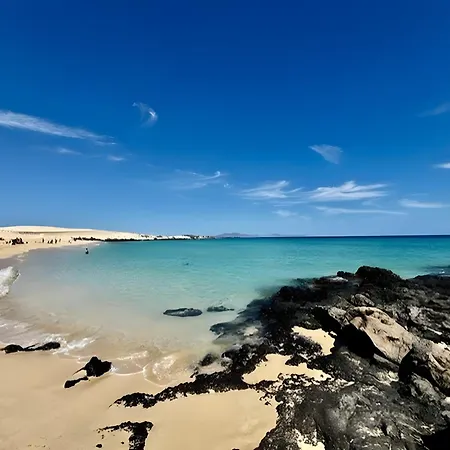 Appartement Surf Sea View *